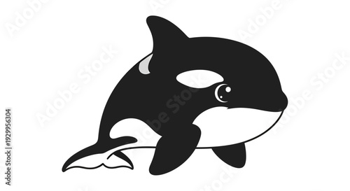 Orca illustration, vector style graphic, aquatic animal design for ocean life projects