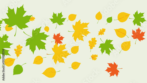 Colorful Autumn Leaves Falling from Trees.