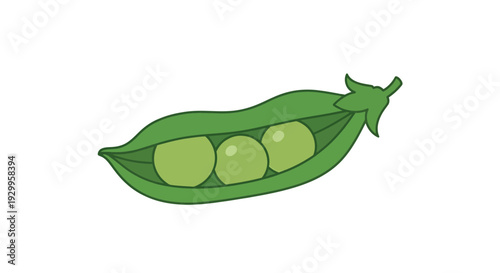 Pea pod illustration, vector style graphic, healthy food concept, isolated image