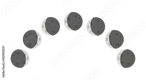 Phases of the Moon Vector Illustration, Flat Design, for Astronomy and Science Projects