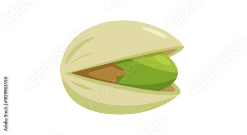 Pistachio Image, Vector Illustration, Food and Healthy Eating Concept