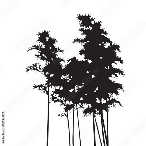 Silhouetted trees in serene minimalist style with dramatic backlighting on white background for landscape design