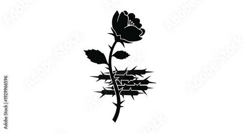 black rose with thorns and barbed wire tattoo design