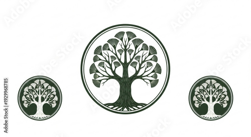 Tree logo set with three different sized circular icons featuring a tree design on white background