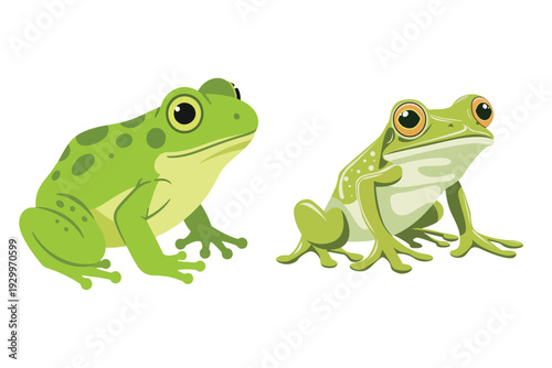 Vibrant illustration of two distinct green frogs, highlighting unique patterns and natural amphibian charm on a white background for nature-themed designs