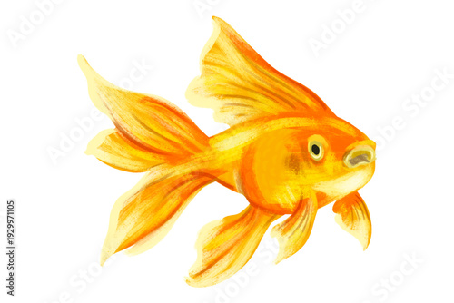 Vibrant golden goldfish illustration swimming gracefully, showcasing its beautiful flowing fins and shimmering scales, a captivating depiction of aquatic life and serene beauty