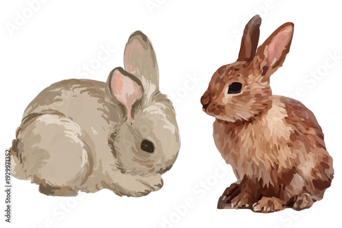 Aesthetic vector illustration of two isolated cartoon bunnies, a charming graphic design element perfect for a sticker collection, cut out for easy use