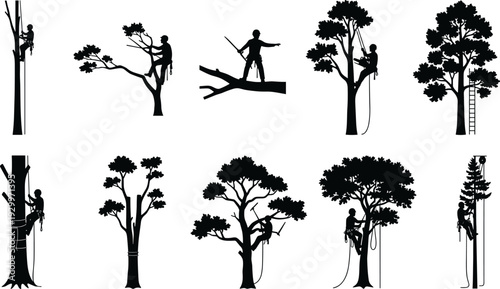 Large vector collection of black silhouettes featuring professional arborists climbing trees, pruning branches with chainsaws, and performing forestry maintenance using ropes and ladders.