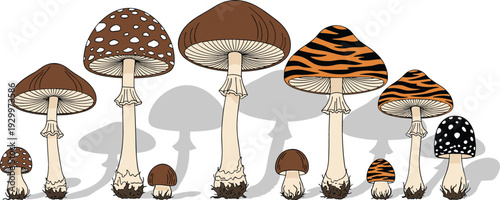 Detailed hand drawn vector set of diverse forest mushrooms and fungi with various cap patterns for nature concept