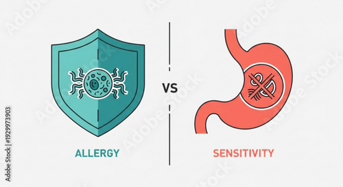 Allergy vs sensitivity comparison infographic illustration