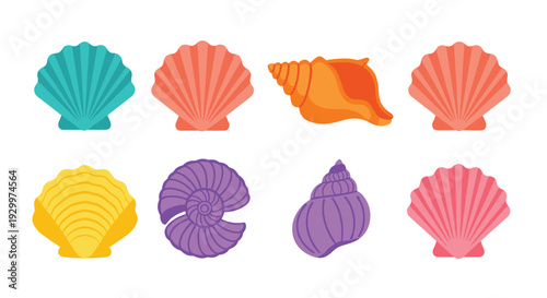 Eight colorful seashells in various shapes including scallops and spirals are arranged in two rows on a white background.