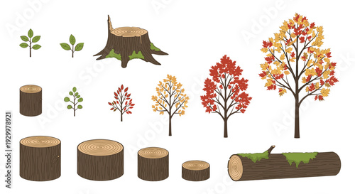 Fourteen forestry elements featuring tree stumps and deciduous trees with autumn leaves are on a white background.