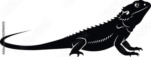 Minimalist black bearded dragon silhouette with detailed scales and long tail, exotic lizard vector illustration for reptile lovers and nature projects.