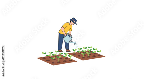 A man wearing a yellow shirt and blue pants waters two small rectangular garden plots with a light blue watering can on a white background.
