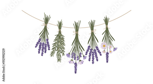 Five bundles of dried lavender and rosemary hanging from a thin twine string against a plain white background.