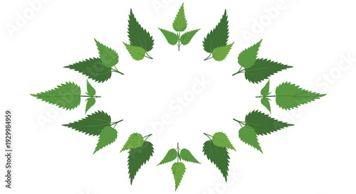 Symmetrical frame made of green stinging nettle leaves with serrated edges arranged in an oval shape around a white central space for text.