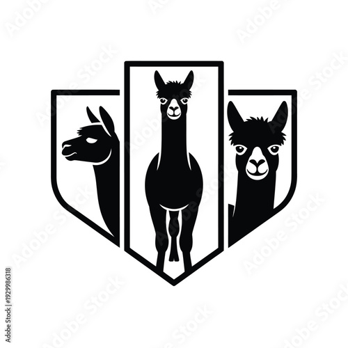 Three llamas presented within shield shaped frames in a black and white design