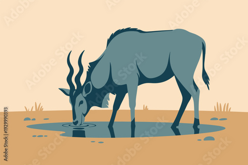 Sahara desert antelope drinking from oasis waterhole