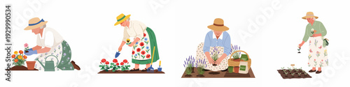 Happy senior women enjoying their hobby of gardening, planting colorful flowers and aromatic herbs in their home gardens.