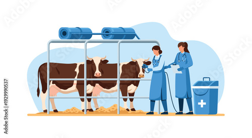 Two female veterinarians in blue scrubs examine two brown and white cows inside a metal stall with medical equipment and a blue bin present.