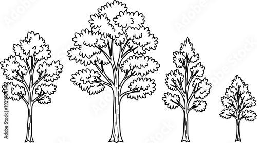 Illustration of trees with varying heights and leaf structures in a landscape view