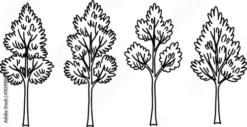 Four distinct tree silhouettes displayed in a row, showcasing varied leaf structures and trunk designs