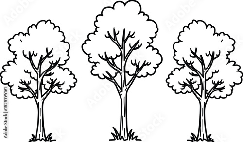 Three trees standing together in a serene landscape viewed from a distance in an illustrative style