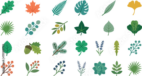 A diverse collection of stylized plant leaves, branches, and botanical elements in various shapes and colors, suitable for graphic design and natural themes.