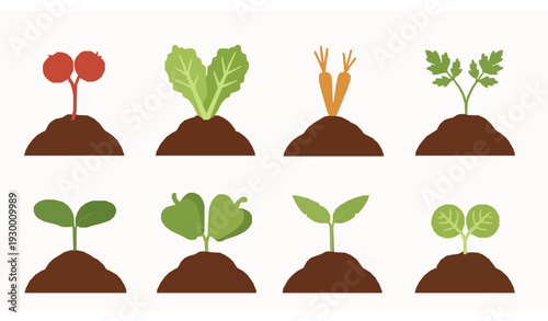 Vegetable seedling identification set garden soil vector