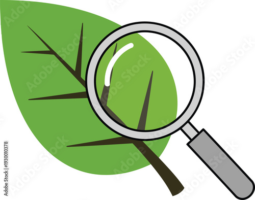 Magnifying glass examining green leaf for environmental research and ecology study