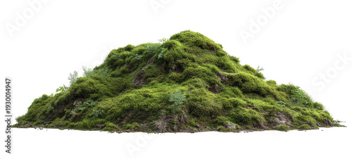 Mossy hillock, small green mound, covered in rich vegetation