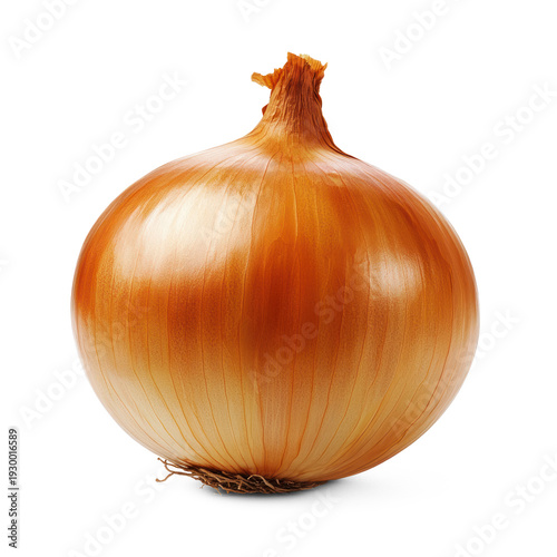 A caramelized onion with a golden-brown, soft texture. full length isolate on transparent background