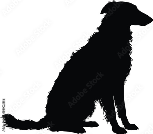 Black silhouette of borzoi dog, sitting pose, shaggy coat, bushy tail, long snout, minimalist design, isolated background