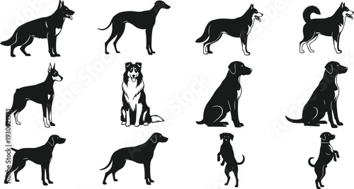 Black and white dog silhouettes illustration, multiple breeds, standing sitting poses, German Shepherd, Greyhound, Husky, Doberman, Labrador, Border Collie artwork