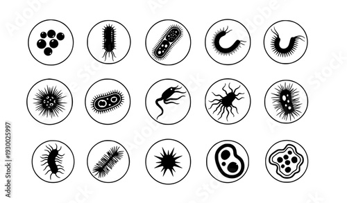 Black Microorganism and Bacteria Icon Set with Circular Scientific Symbols for Medical Research, Biology Education, Healthcare, and Laboratory Vector Designs