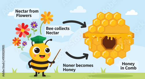 A cartoon bee collects nectar from flowers to make honey in comb, illustrated in a whimsical style