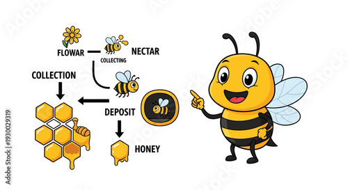 A cartoon bee explaining the process of honey production through floral nectar collection and deposit into honeycombs