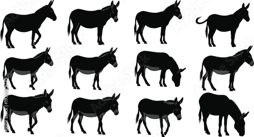 Donkey silhouette set collection, various domestic ass positions, isolated farm animal vector bundle, burro standing and walking icons, minimalist livestock illustration.