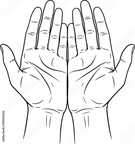 Hand illustration, open palms, anatomy drawing, palmistry icons, symbolic gesture, giving hands, receiving hands, detailed line art, human fingers, contour