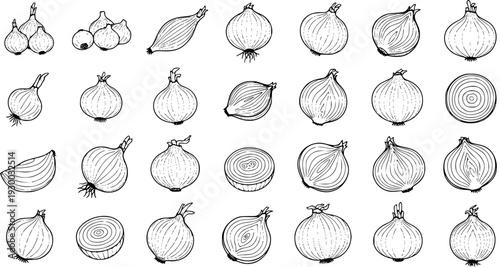 Comprehensive Hand-Drawn Onion Collection: Detailed Black and White Illustrations of Whole, Sliced, and Bundled Onions in Various Forms and Cuts.