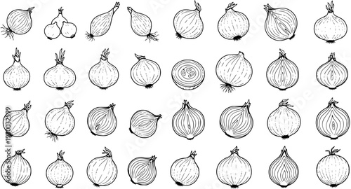 Detailed hand-drawn outline vector illustrations of various onions, featuring whole and sliced bulbs, perfect for food and cooking design elements.