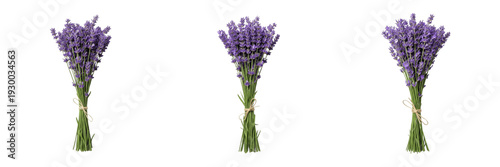 Slika na platnu Premium Natural Dried Lavender Bunches - Fragrant Long-Stemmed Lavender Bouquet