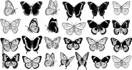 Hand-drawn Butterfly Collection. Black and white vector set of various flying insects in sketch style. Detailed monochrome illustration of different butterflies, perfect for nature