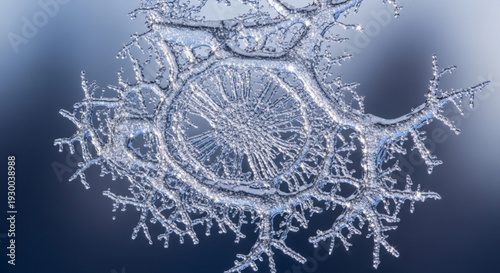 Intricate ice crystal formation on surface with frosty branches and delicate patterns on dark blue background