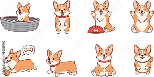 Cute corgi dog cartoon character vector set with different poses, bowl, bone and playful puppy illustration