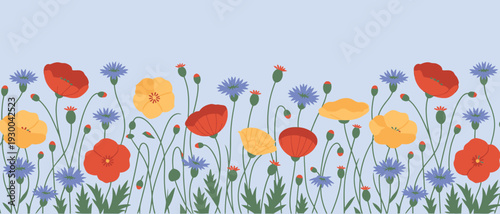 A delightful and vibrant horizontal floral border illustration featuring red poppies and yellow flowers with delicate blue cornflowers on a soft blue background, perfect for spring and summer designs