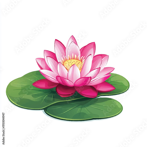 Vibrant Pink Water Lily Blossom with Green Lily Pads.