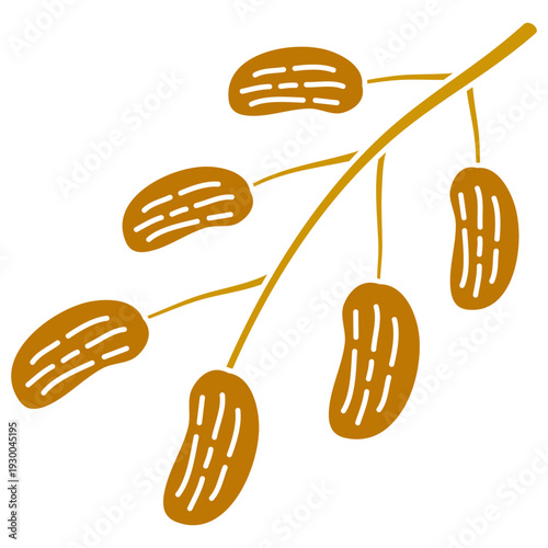 dates fruit on a branch