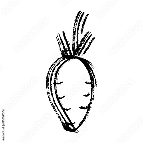 Hand drawn farm daikon radish beet beetroot plant with green leaves Fresh vegetable doodle Healthy eco food Organic garden vegetarian food For design, print, packaging, decor, kids books