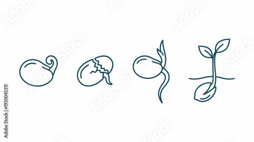Stages of plant growth development. Spring Vector Packs. EPS Editable